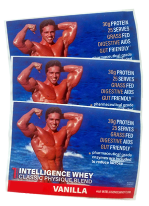 3x Vanilla Sachets - Intelligence Whey Protein