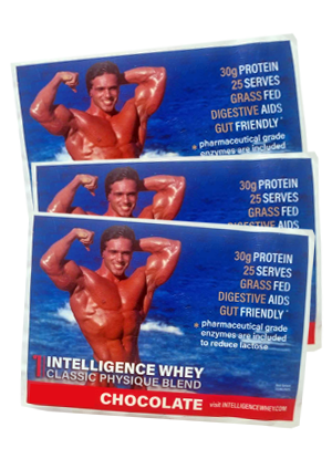 3x Chocolate Sachets - Intelligence Whey Protein